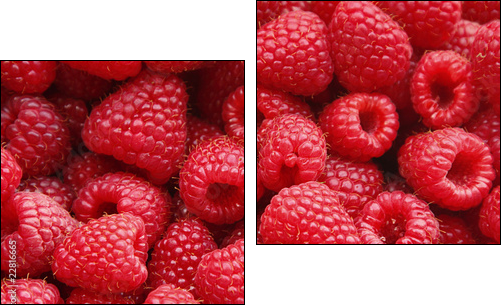 Owoce malin - niepowtarzalny smak lata - Obraz dwuczęściowy, Dyptyk