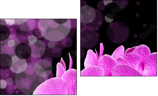 Świeże orchidee
 - Obraz dwuczęściowy, Dyptyk