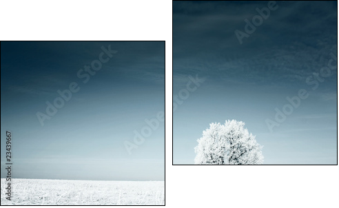 Zimowa łąka otulona białym puchem - Obraz dwuczęściowy, Dyptyk