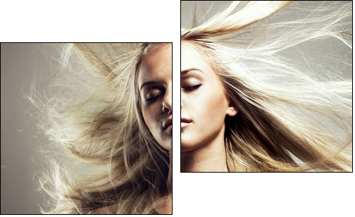 Beautiful woman with magnificent hair  - Obraz dwuczęściowy, Dyptyk