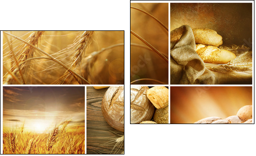 Ziarna zbóż – sielski collage
 - Obraz dwuczęściowy, Dyptyk