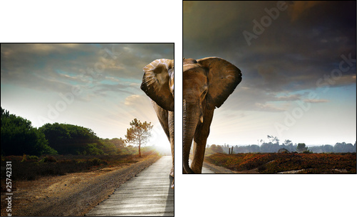 Walking Elephant  - Obraz dwuczęściowy, Dyptyk