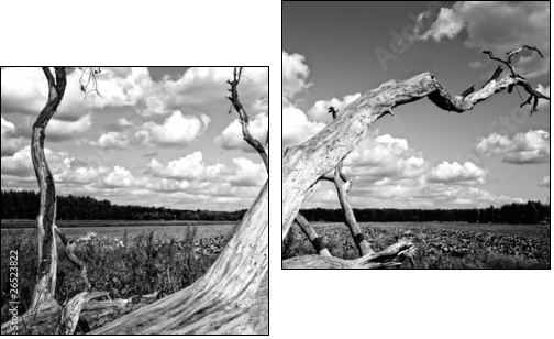 Powalone naturą drzewo
 - Obraz dwuczęściowy, Dyptyk