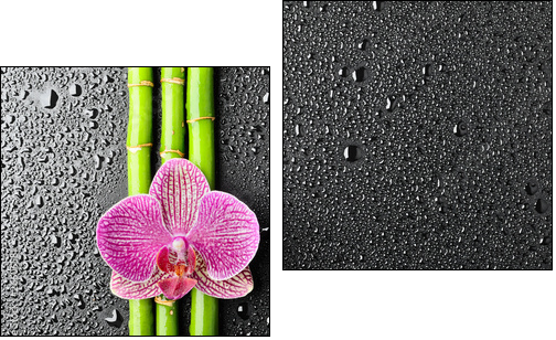 Azjatyckie spa – bambus i orientalny kwiat
 - Obraz dwuczęściowy, Dyptyk