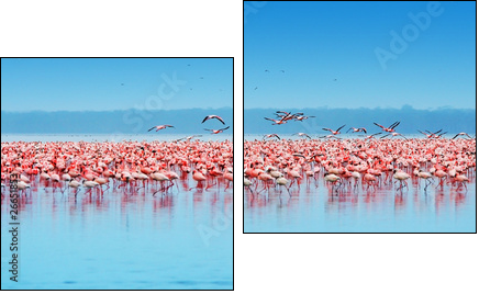 African flamingos  - Obraz dwuczęściowy, Dyptyk