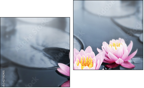 Orientalny lotos – klimat jak ze spa
 - Obraz dwuczęściowy, Dyptyk