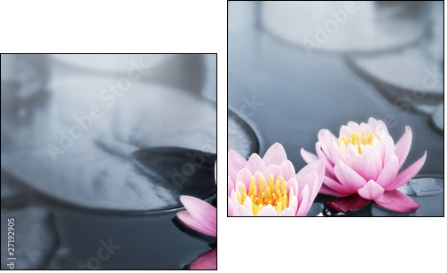 Kwiaty lotosu – orient podkreślony ekspresem
 - Obraz dwuczęściowy, Dyptyk