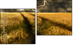 Burza nad złotym polu jęczmienia
 - Obraz dwuczęściowy, Dyptyk
