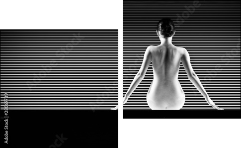 black and white artistic nude; a back silhouette shot on striped  - Obraz dwuczęściowy, Dyptyk