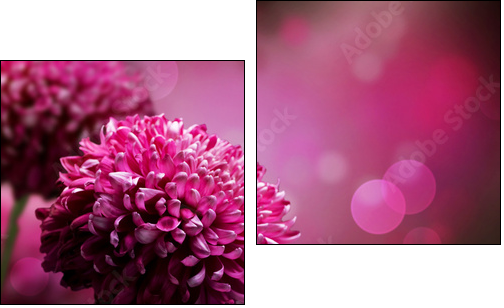 Dahlia Autumn flower design. With copy-space  - Obraz dwuczęściowy, Dyptyk