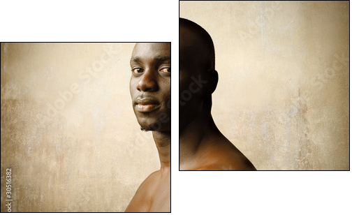 Afryka – portret naturalnego piękna
 - Obraz dwuczęściowy, Dyptyk