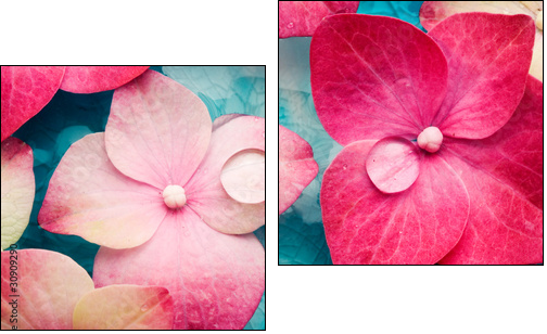 Odświeżające kwiaty – wellness & spa
 - Obraz dwuczęściowy, Dyptyk