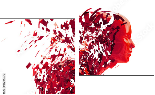 abstract character shattered into pieces  - Obraz dwuczęściowy, Dyptyk