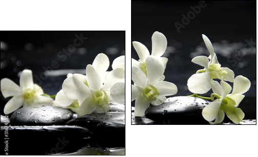 Zen stones and pink orchids with reflection  - Obraz dwuczęściowy, Dyptyk