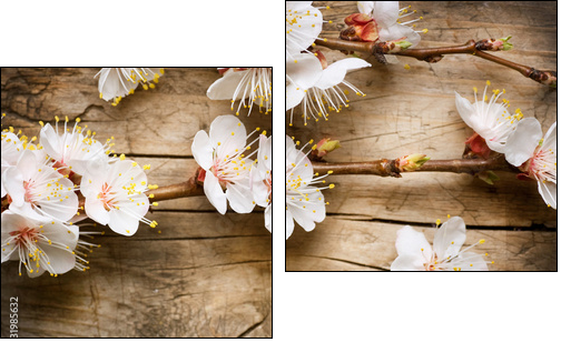 Kwiaty drzewa owocowego – zapach wiosny
 - Obraz dwuczęściowy, Dyptyk