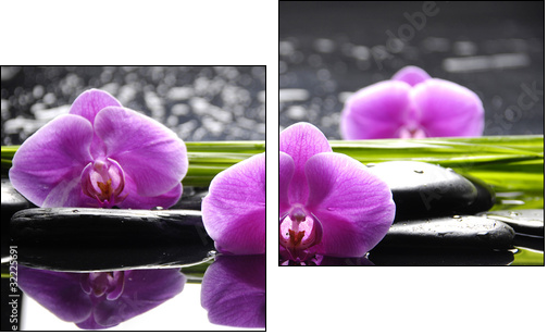 Spa still life with set of pink orchid and stones reflection  - Obraz dwuczęściowy, Dyptyk