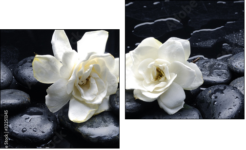 Spa still life with gardenia flower on pebble  - Obraz dwuczęściowy, Dyptyk