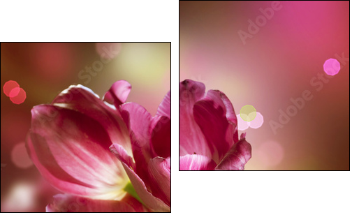 Otwarte tulipany – kwiaty w domu
 - Obraz dwuczęściowy, Dyptyk