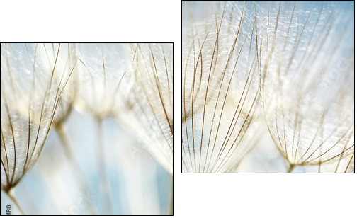 Abstract dandelion flower background  - Obraz dwuczęściowy, Dyptyk