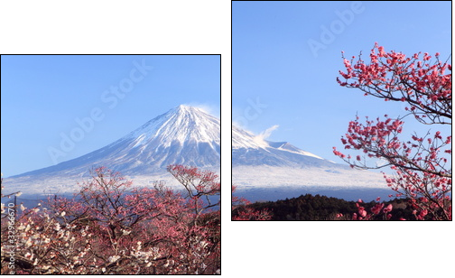 Mt. Fuji with Japanese Plum Blossoms  - Obraz dwuczęściowy, Dyptyk