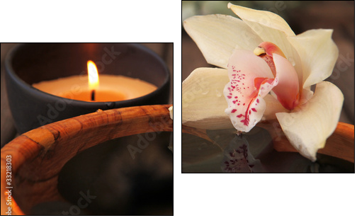 La flamme et l orchidÃ©e  - Obraz dwuczęściowy, Dyptyk