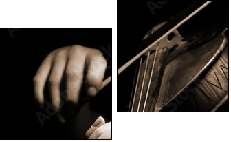 Musician playing violin isolated on black  - Obraz dwuczęściowy, Dyptyk