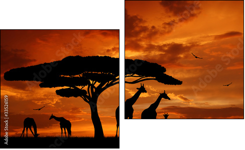 Afryka: żyrafy układają się do snu
 - Obraz dwuczęściowy, Dyptyk