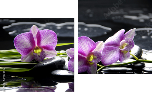 Pink orchid with bamboo leaf and stones with reflection  - Obraz dwuczęściowy, Dyptyk