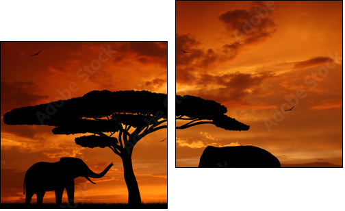 Silhouette two elephants in the sunset  - Obraz dwuczęściowy, Dyptyk