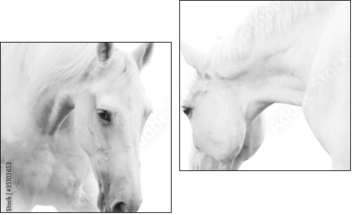 white horses  - Obraz dwuczęściowy, Dyptyk