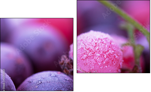 Mroźna dusza słodkich jagód - Obraz dwuczęściowy, Dyptyk