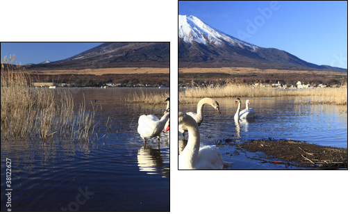 Mt. Fuji and Swans  - Obraz dwuczęściowy, Dyptyk