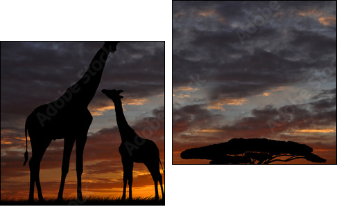 giraffes in the sunset  - Obraz dwuczęściowy, Dyptyk