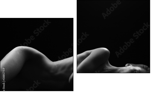 nudity  - Obraz dwuczęściowy, Dyptyk