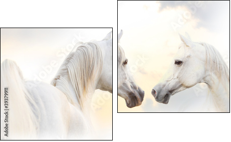 white horses  - Obraz dwuczęściowy, Dyptyk