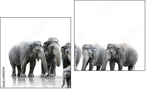 Elefantenherde  - Obraz dwuczęściowy, Dyptyk