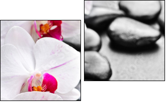 orchid  - Obraz dwuczęściowy, Dyptyk