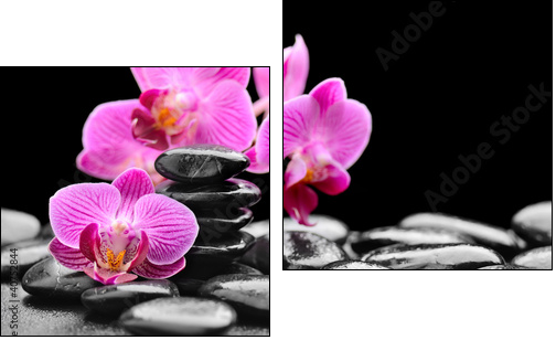 orchid  - Obraz dwuczęściowy, Dyptyk