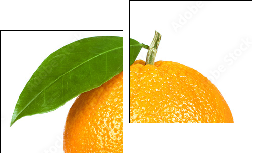 Pomarańcza jak z żurnala wyjęta  - Obraz dwuczęściowy, Dyptyk