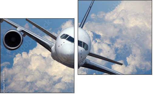 Airliner in flight  - Obraz dwuczęściowy, Dyptyk