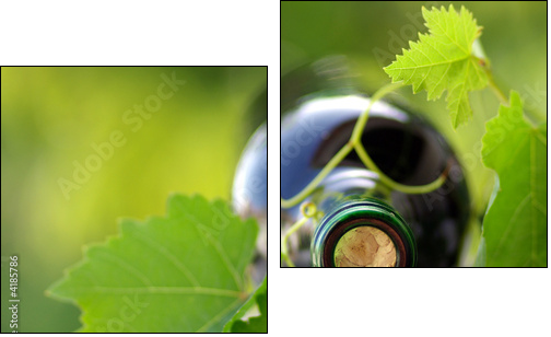 Wino dojrzewające na pnączu  - Obraz dwuczęściowy, Dyptyk