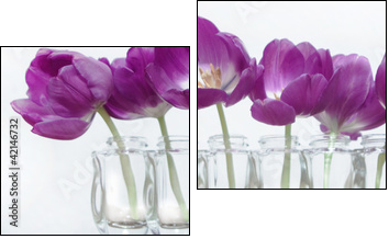 Tulpen  - Obraz dwuczęściowy, Dyptyk