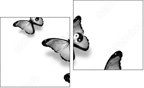 Three dao flag butterflies, isolated on white  - Obraz dwuczęściowy, Dyptyk