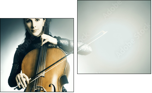 Cello musical instrument musician cellist playing  - Obraz dwuczęściowy, Dyptyk