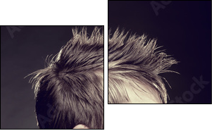 Men's hairstyle  - Obraz dwuczęściowy, Dyptyk
