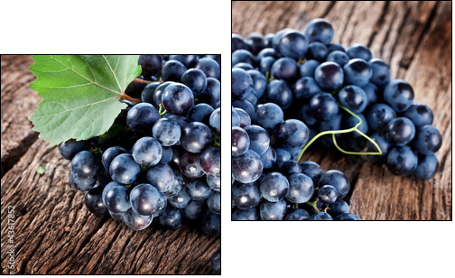 Grapes  - Obraz dwuczęściowy, Dyptyk