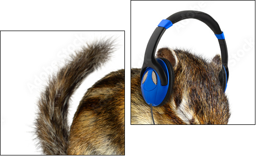 Funny chipmunk listening to music on headphones  - Obraz dwuczęściowy, Dyptyk