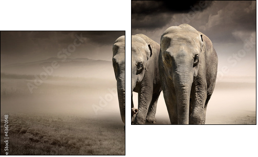 Pair of elephants in motion  - Obraz dwuczęściowy, Dyptyk