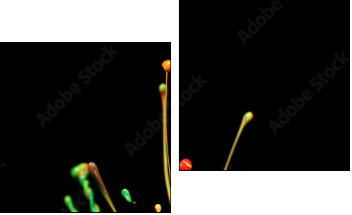 Paint splash  - Obraz dwuczęściowy, Dyptyk