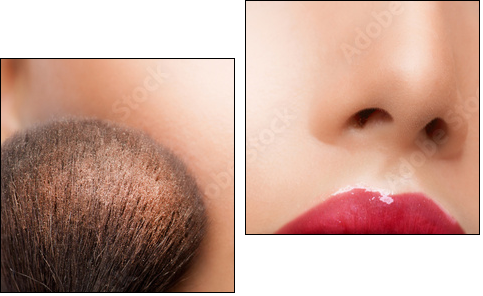 Make-up closeup. Cosmetic Powder Brush. Perfect Skin  - Obraz dwuczęściowy, Dyptyk